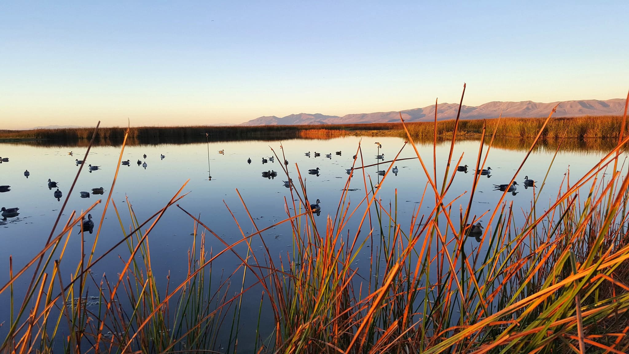 Utah Wildlife Board Approves Changes To Waterfowl Hunting