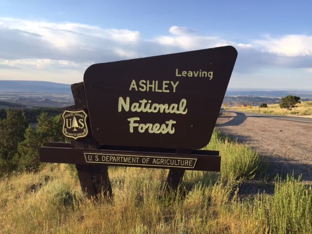 Ashley National Forest Asks People to Be Patient Getting Into the Forest