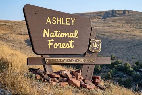 Ashley National Forest Sites Opening This Weekend