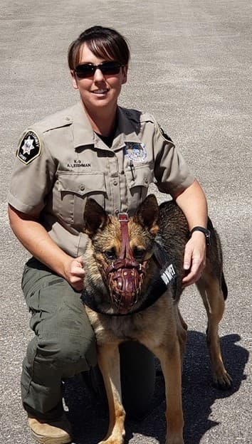 Lapoint 5th Grade Class Enjoys Presentation From Deputies And K-9 Riddick
