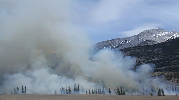 Fire Sense Efforts Making An Impact