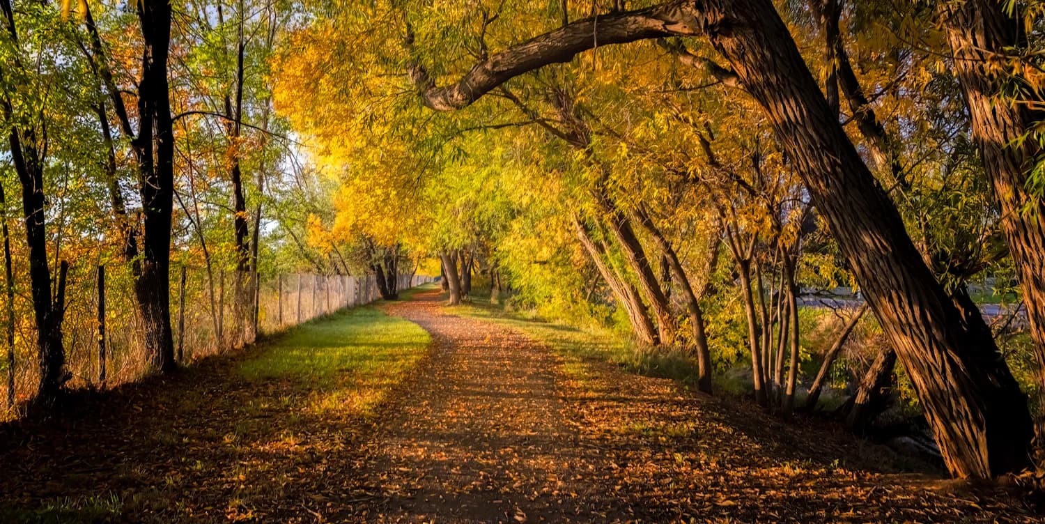 Ashley Watershed Draft Plan With Kids Canal Designs Open For Public Comment
