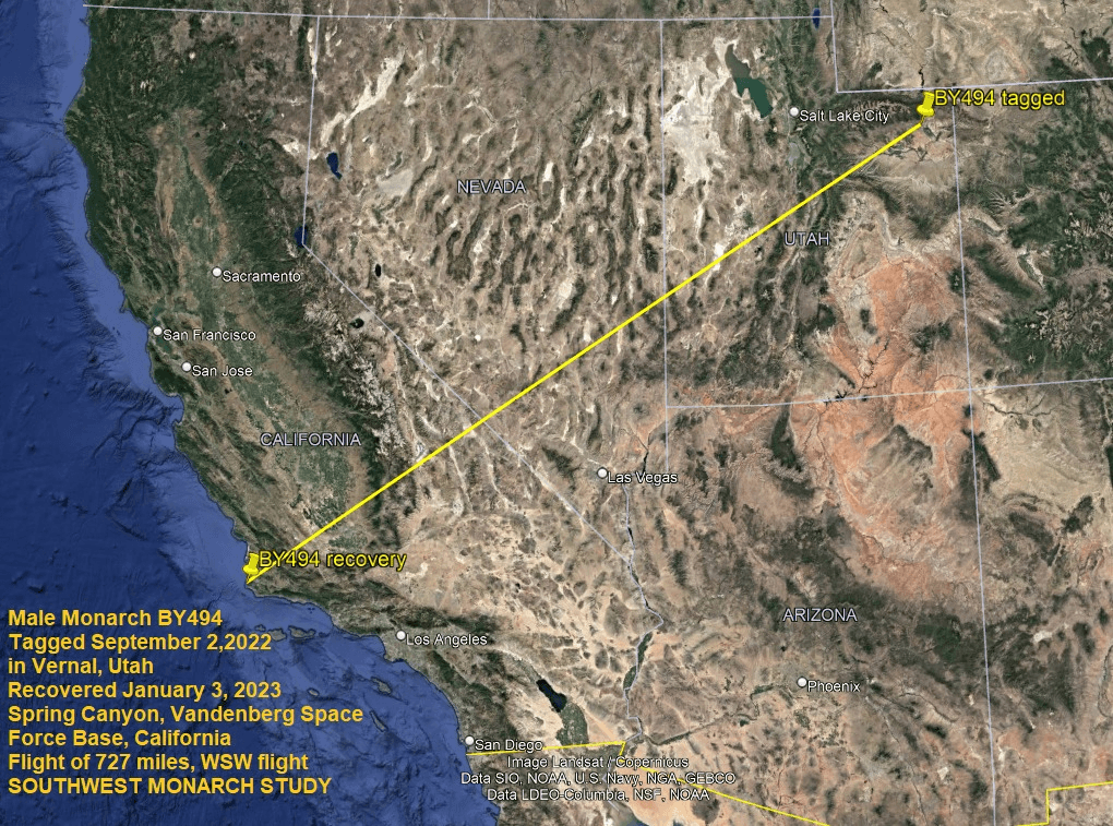 Uinta Basin Birds & Butterflies Group Travel To Monarch Butterflies Summit