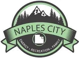 Naples City Upgrades Surveillance Security System