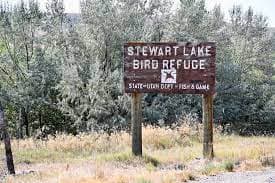 Fire at Stewart Lake