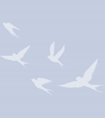 Where To Celebrate World Migratory Bird Day In Northeastern Utah