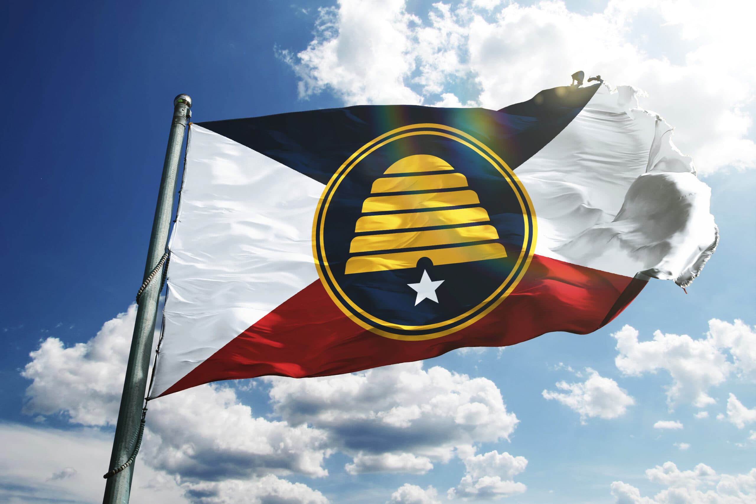 Flag Referendum Fails To Deliver Required Signatures By Deadline