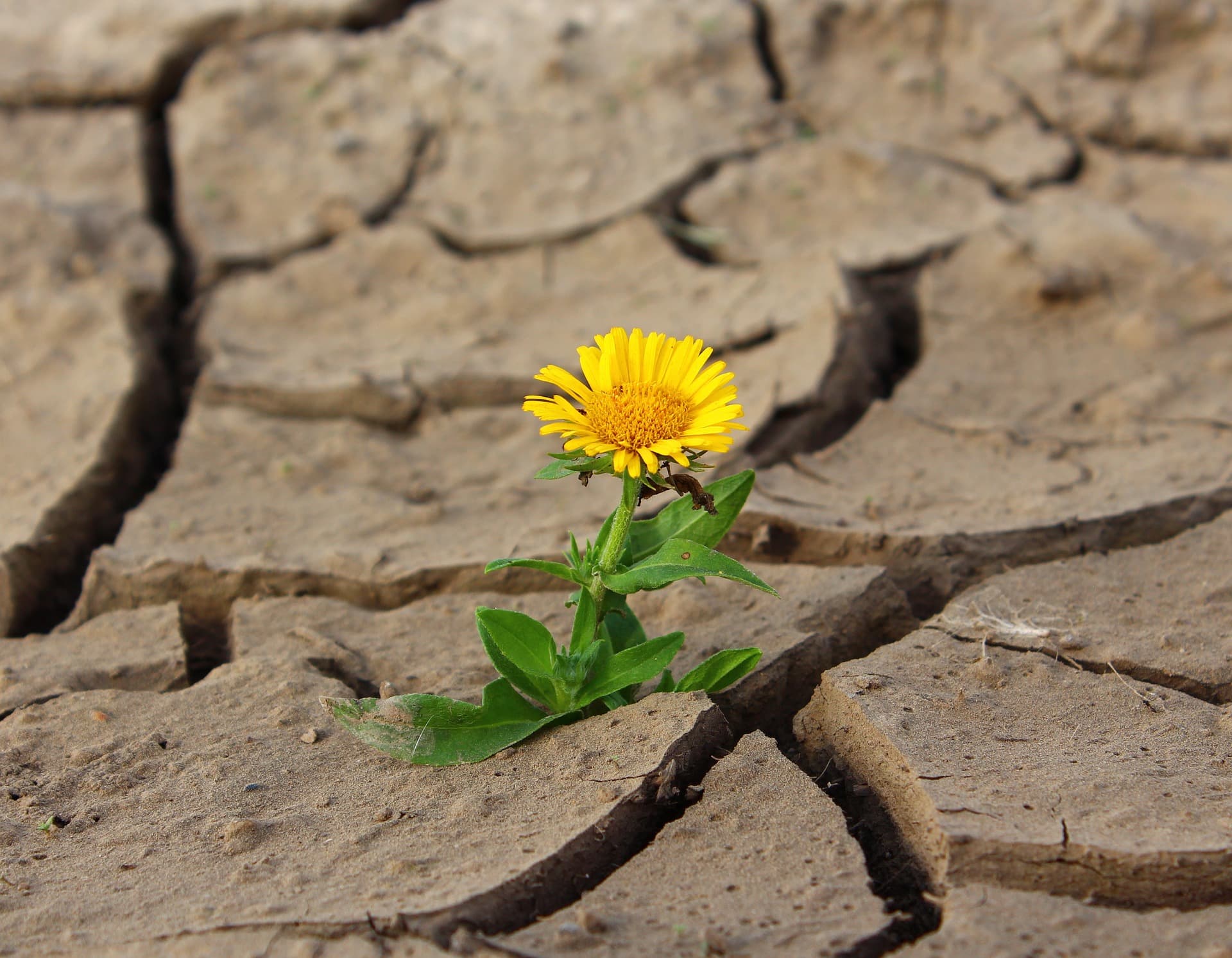 Utah Out Of Extreme Drought
