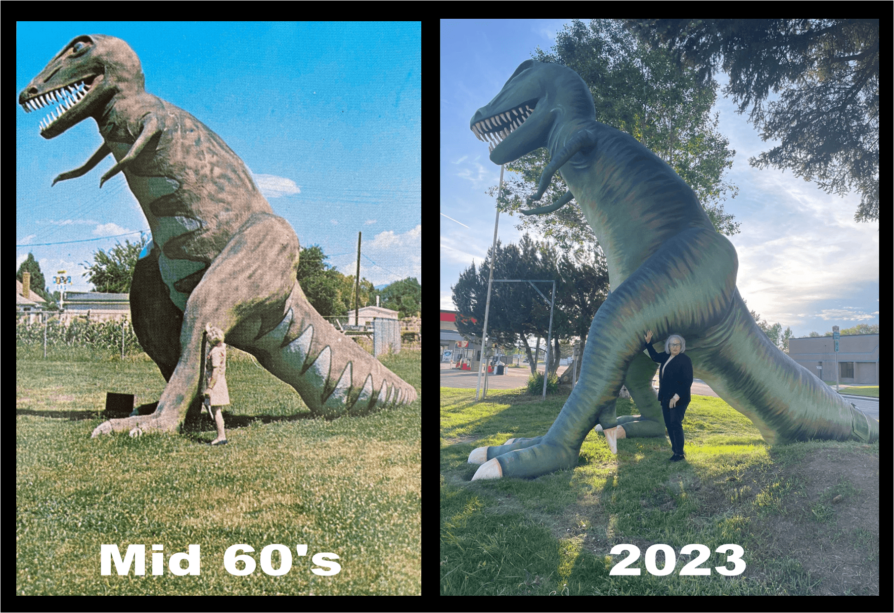 T-Rex Restored And Ready To Serve Community For Another 60 Years