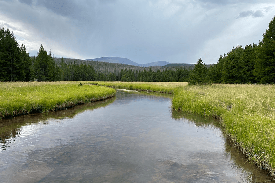Water Treatments Scheduled For High Uintas To Help Restore Native Cutthroat