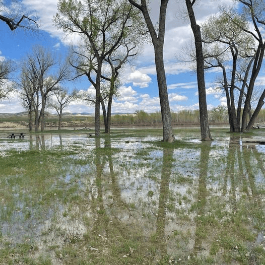Green River Flooding 10-Day Forecast Predicts Critical Levels By Thursday
