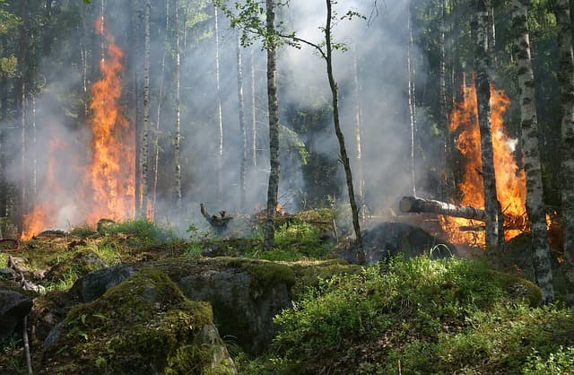 Rocky Mountain Power Implements New Wildfire Safety Precautions