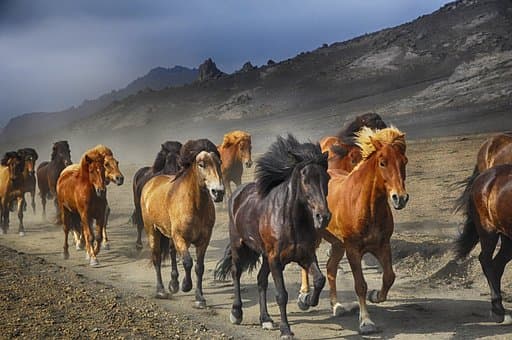 Great American Horse Ride This Weekend In Moffat County
