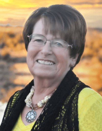 Bonnie Ann Shiner