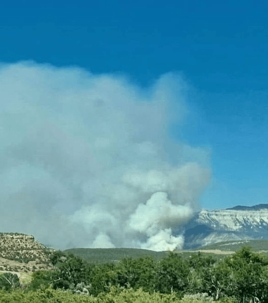 Spring Creek Fire In Western Colorado