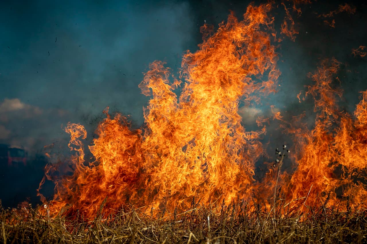 BLM Conducting Pariette Wetlands Prescribed Burn