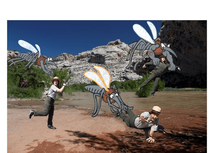 Dinosaur National Monument Gets Real About Mosquitoes