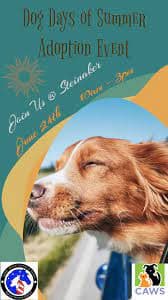 Dog Days Of Summer Adoption Event At Steinaker On Saturday