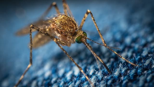 Uintah County Mosquito Abatement District Report