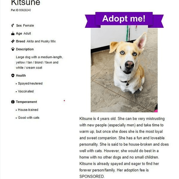 Roosevelt Animal Shelter Staying Busy And Welcoming Community’s Support