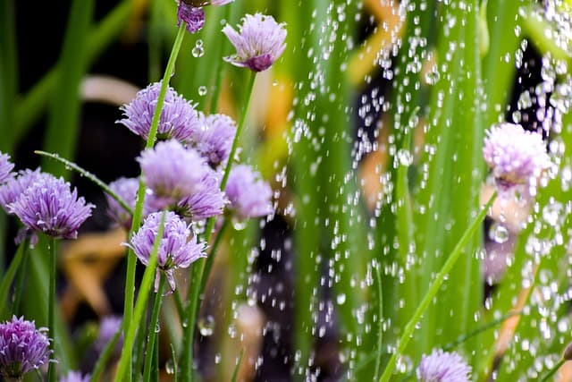 Ashley Valley Water Restrictions Lifted