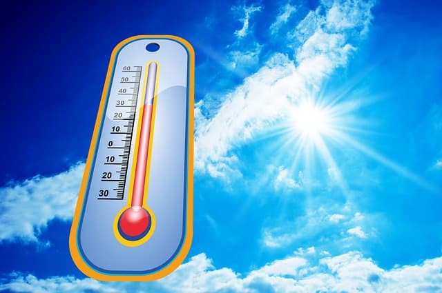 Tips to Be Safe in the Heat