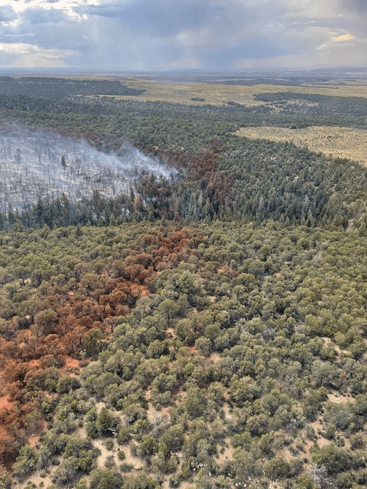 Monument Fire In Book Cliffs 80 Percent Contained