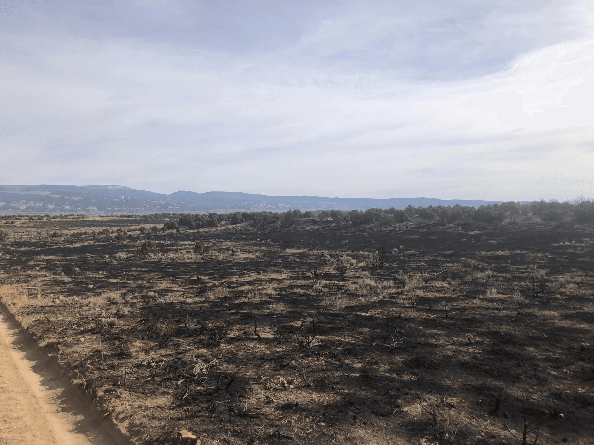 Deserado And Harvest Fires Reach Full Containment