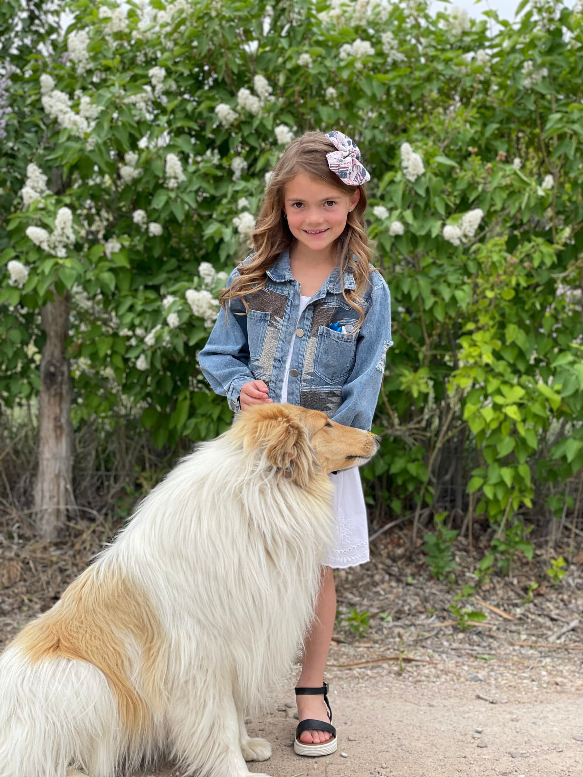 All Dogs Welcome At Uintah County Fair Dog Show