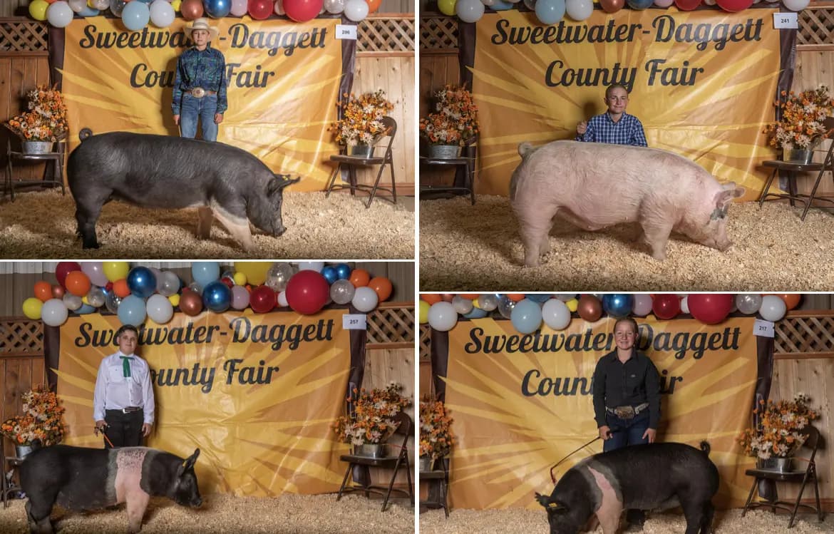 Wyoming’s Big Show 4-H/FFA Livestock Auction Receives Great Support