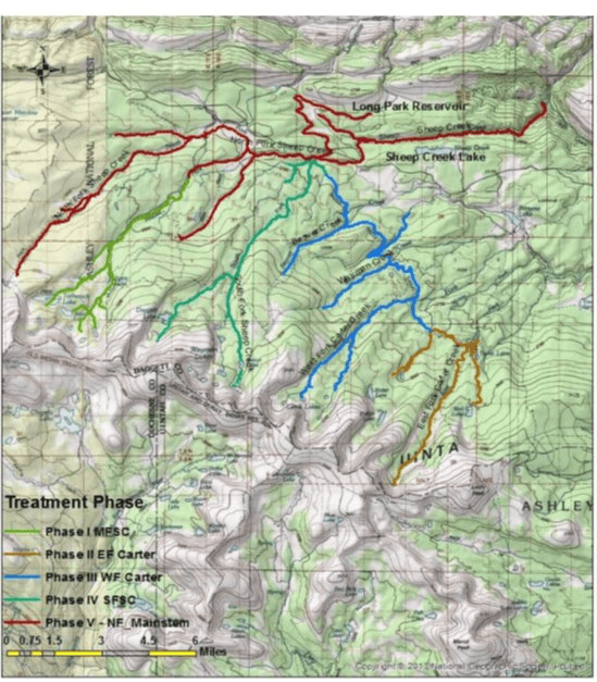 Rotenone Treatment And Closure Planned For South Fork Of Sheep Creek