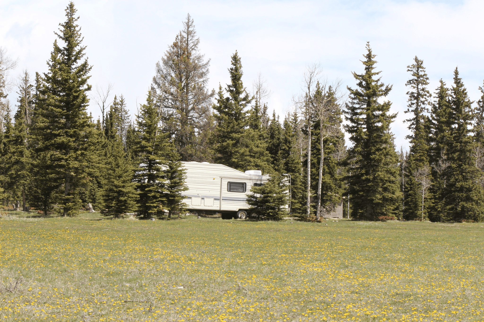 Ashley National Forest Reminders For Camping