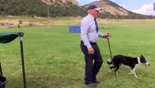 Virginia Man And Border Collie Bett Winners Of Meeker Classic