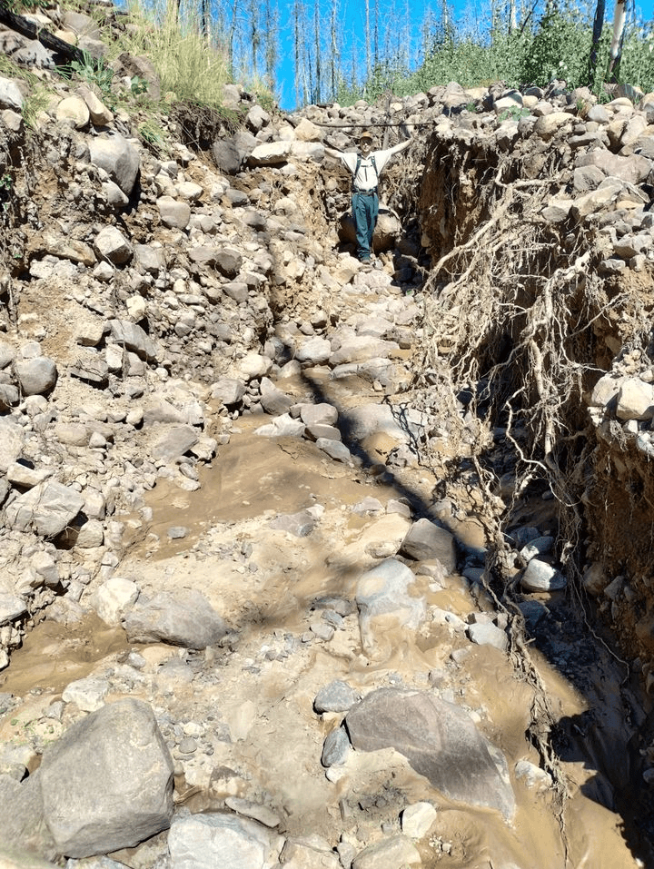 Lake Fork Trail And Brown Duck Trail Closed; Timber Canyon Road Opened