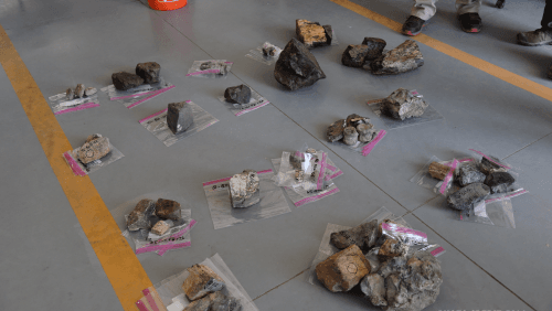 Three Who Stole $1M Worth of Dinosaur Bones/Sold To China, To Be Prosecuted