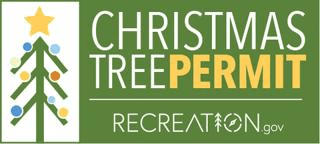 Forest Service Christmas Tree Permits Going On Sale; Free For 4th Graders