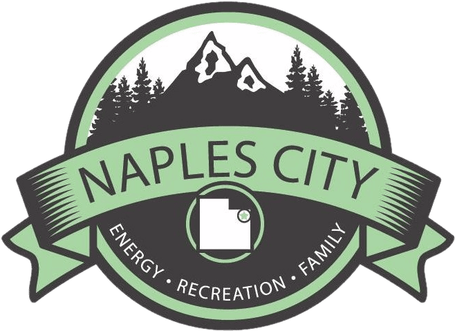 Naples City Annual Tree Lighting