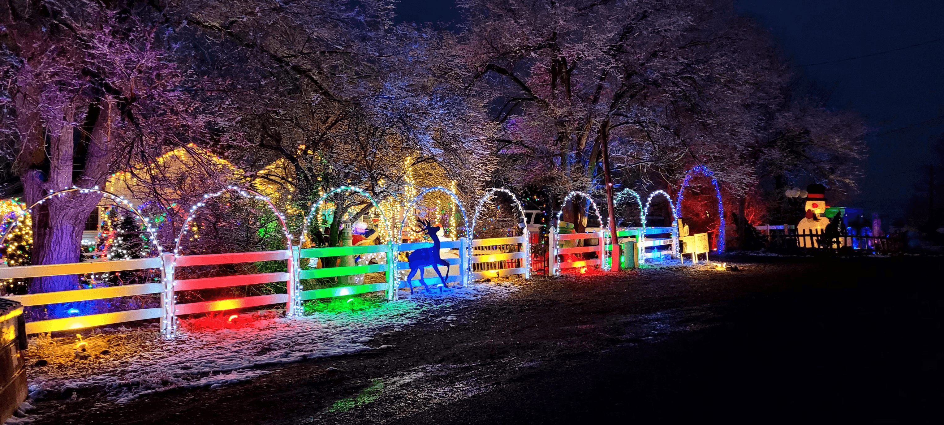 Local Family Invites All To Pierce’s Roosevelt Holiday Light Show