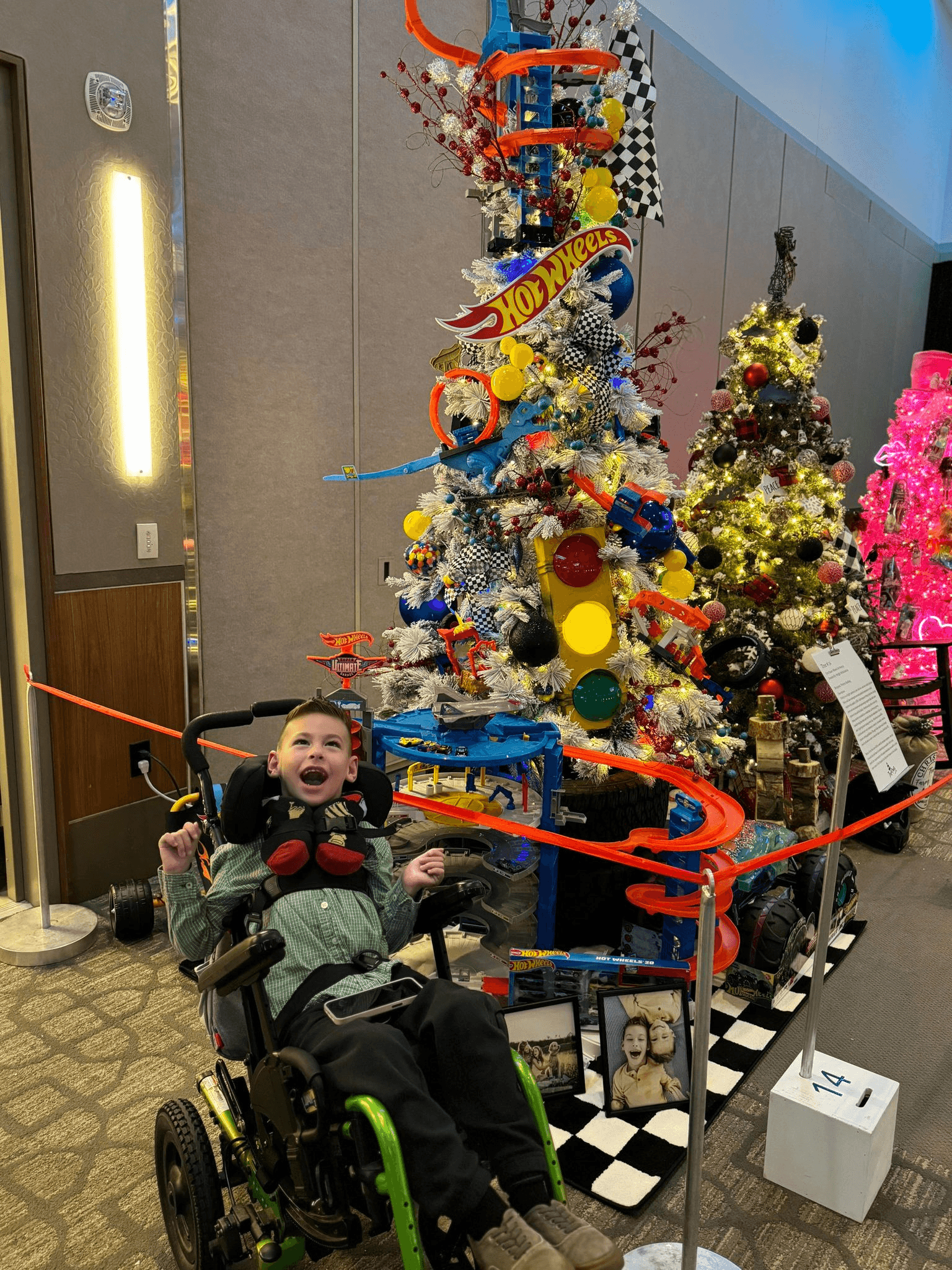 Astounding Night Of Generosity At Trees For Charity Auction Gala
