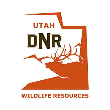 DWR: Local Bird Enthusiast Invites All To Try Utah Birding Slam