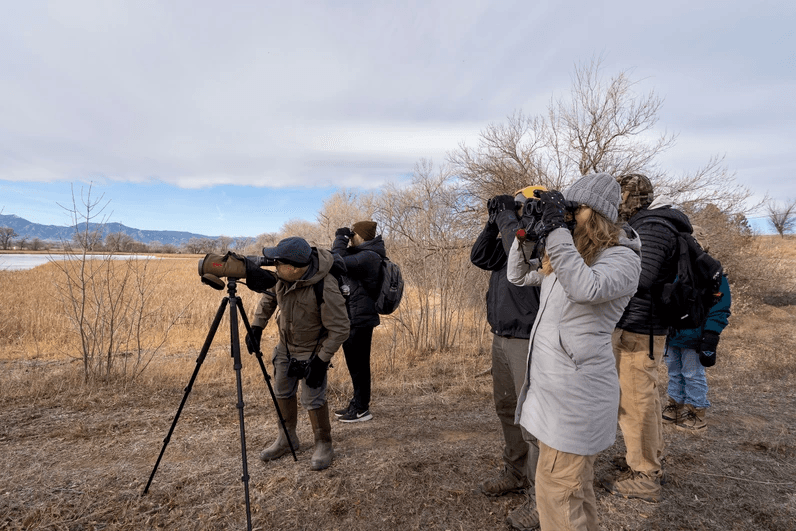 Local Event Scheduled For 124th Annual Christmas Bird Count