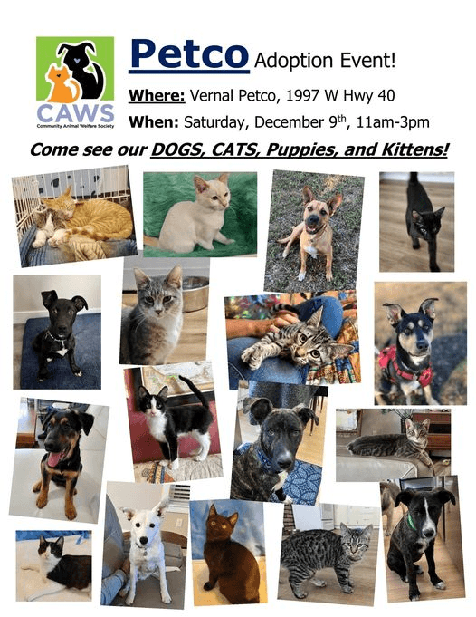 CAWS Adoption Event This Saturday