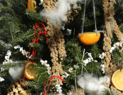 Christmas Tree Recycling Alternative Idea