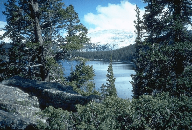 Ashley National Forest Final Forest Plan EIS And Record Of Decision