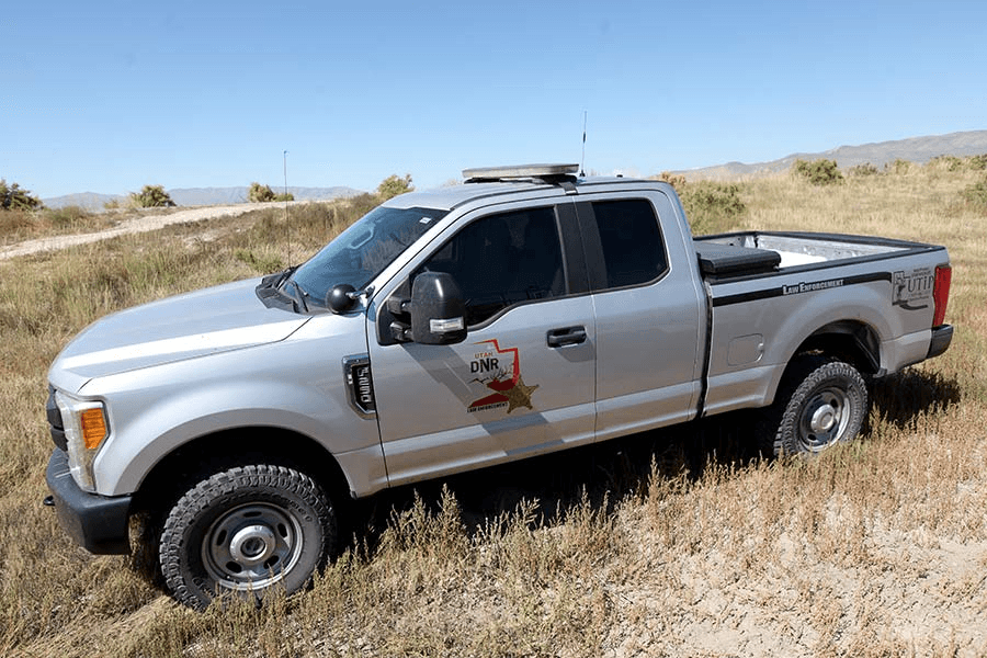 DWR: Prevent Conflicts With Mountain Lions This Summer