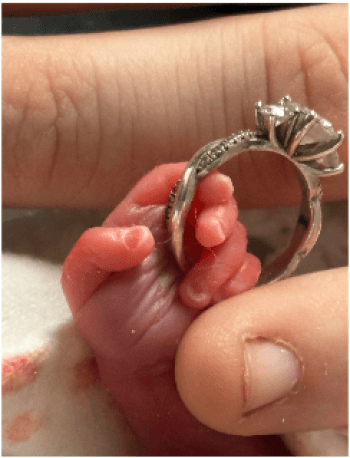 Noah David King