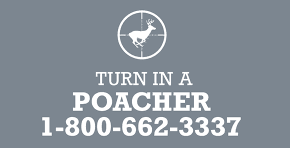 Utah Wildlife Board Approves Update Regarding Rewards For Reporting Poachers