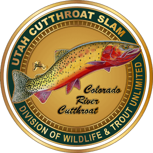 Cutthroat Slam Program Continues To Grow In Popularity