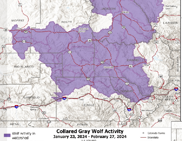 Colorado Parks and Wildlife Share Updated Map Of Gray Wolf Activity