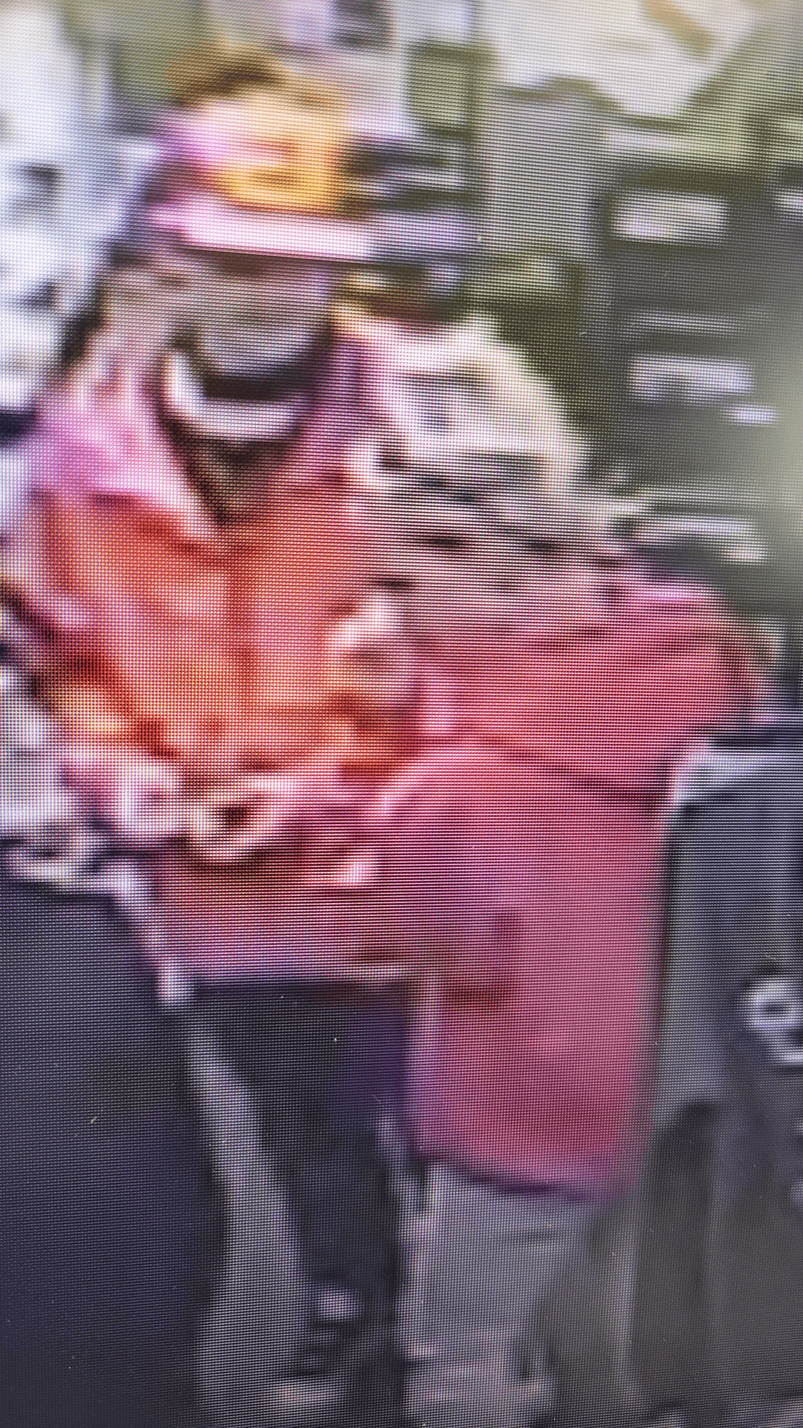 Public’s Help Requested In Case Of Shoplifting at the Big G on 40 Gas Station